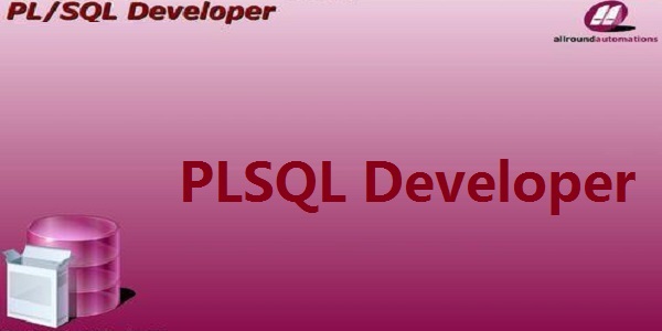 九游娱乐文化：PLSQLDeveloper64位15022054版