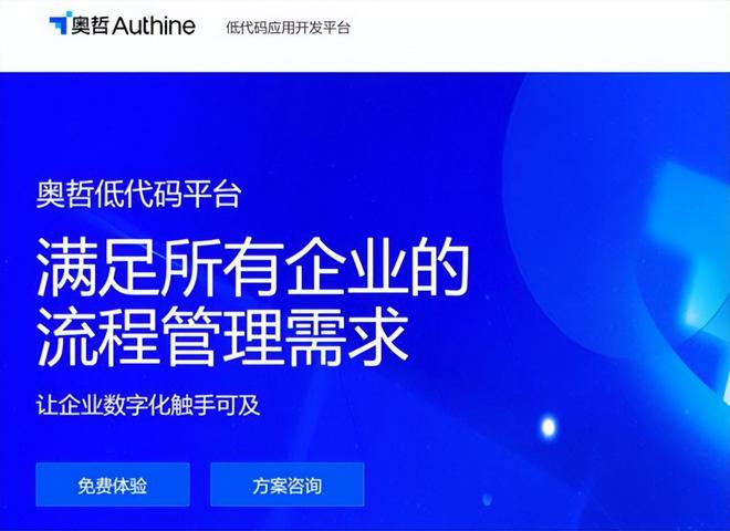 2024低代码平台：六款主流评测与成本效益(图4)