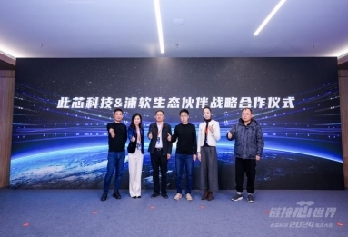 用AI链接芯世界此芯科技2024生态大会完美收官(图9)