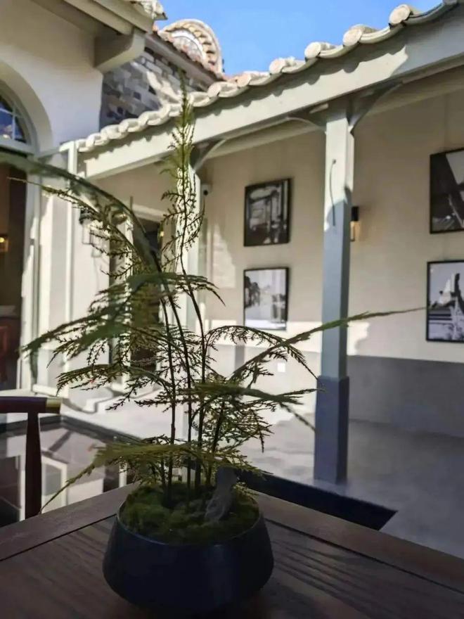 省级金银榜！花都这6家乡村酒店（民宿）超出片！(图12)