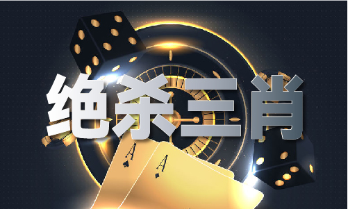 金鹰主论坛资料V