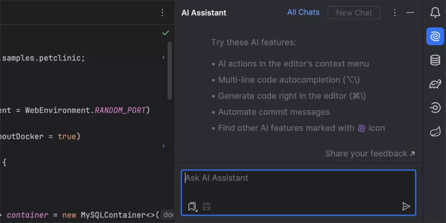 intellijideaultimate2024电脑版v202433版(图3)