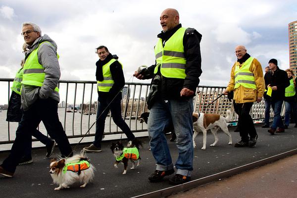 skixixwaswaskino热潮揭秘_香港邮政将以“港产”大熊猫等为主题发行特别邮票